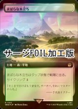 [FOIL] まばらな木立ち/Scattered Groves No.1103 (拡張アート版・サージ仕様) 【日本語版】 [WHO-土地R]