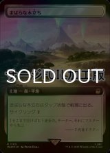 [FOIL] まばらな木立ち/Scattered Groves No.1103 (拡張アート版・サージ仕様) 【日本語版】 [WHO-土地R]