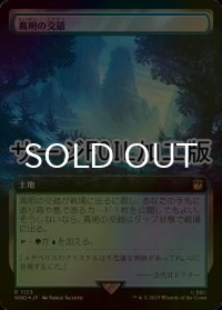 [FOIL] 蔦明の交錯/Vineglimmer Snarl No.1123 (拡張アート版・サージ仕様) 【日本語版】 [WHO-土地R]