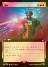 [FOIL] 消却/Delete No.381 (拡張アート版) 【日本語版】 [WHO-赤R]