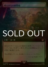 [FOIL] 燃えがらの林間地/Cinder Glade No.485 (拡張アート版) 【日本語版】 [WHO-土地R]
