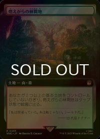 [FOIL] 燃えがらの林間地/Cinder Glade No.485 (拡張アート版) 【日本語版】 [WHO-土地R]
