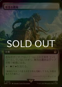 [FOIL] 草茂る農地/Overgrown Farmland No.506 (拡張アート版) 【日本語版】 [WHO-土地R]