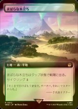 [FOIL] まばらな木立ち/Scattered Groves No.512 (拡張アート版) 【日本語版】 [WHO-土地R]