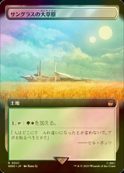 画像1: [FOIL] サングラスの大草原/Sungrass Prairie No.521 (拡張アート版) 【日本語版】 [WHO-土地R]