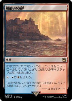 画像1: 嵐削りの海岸/Stormcarved Coast 【日本語版】 [WHO-土地R]