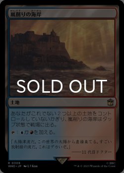 画像1: 嵐削りの海岸/Stormcarved Coast 【日本語版】 [WHO-土地R]
