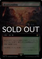 燃えがらの林間地/Cinder Glade (拡張アート版) 【日本語版】 [WHO-土地R]