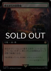 燃えがらの林間地/Cinder Glade (拡張アート版) 【日本語版】 [WHO-土地R]