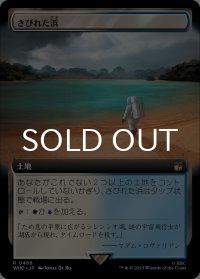 さびれた浜/Deserted Beach (拡張アート版) 【日本語版】 [WHO-土地R]