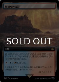 嵐削りの海岸/Stormcarved Coast (拡張アート版) 【日本語版】 [WHO-土地R]