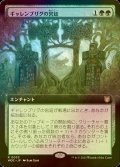 [FOIL] ギャレンブリグの宮廷/Court of Garenbrig (拡張アート版) 【日本語版】 [WOC-緑R]