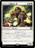 アジャニに選ばれし者/Ajani's Chosen 【日本語版】 [WOC-白R]