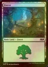 [FOIL] 森/Forest No.276 【英語版】 [WOE-土地C]