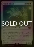 [FOIL] 月揺らしの騎兵隊/Moonshaker Cavalry 【日本語版】 [WOE-白MR]
