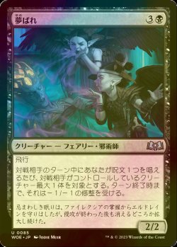 画像1: [FOIL] 夢ばれ/Dream Spoilers 【日本語版】 [WOE-黒U]