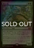 [FOIL] 開花の亀/Blossoming Tortoise 【日本語版】 [WOE-緑MR]