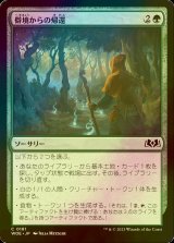 [FOIL] 僻境からの帰還/Return from the Wilds 【日本語版】 [WOE-緑C]