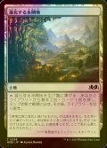 [FOIL] 進化する未開地/Evolving Wilds 【日本語版】 [WOE-土地C]