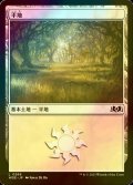 [FOIL] 平地/Plains No.268 【日本語版】 [WOE-土地C]