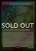 [FOIL] 僻森の師/Wildwood Mentor 【日本語版】 [WOE-緑R]
