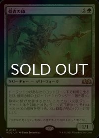 [FOIL] 僻森の師/Wildwood Mentor 【日本語版】 [WOE-緑R]