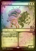 [FOIL] 貪る甘味大口/Devouring Sugarmaw (ショーケース版) 【日本語版】 [WOE-黒R]