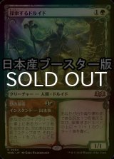 [FOIL] 探索するドルイド/Questing Druid ● (ショーケース・日本産ブースター版) 【日本語版】 [WOE-緑R]