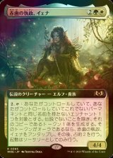 [FOIL] 赤歯の執政、イェナ/Yenna, Redtooth Regent (拡張アート版) 【日本語版】 [WOE-金R]