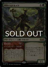 探索するドルイド/Questing Druid (ショーケース版) 【日本語版】 [WOE-緑R]