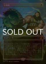 [FOIL] 土地税/Land Tax (全面アート版) 【日本語版】 [WOT-白MR]