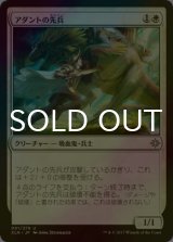 [FOIL] アダントの先兵/Adanto Vanguard 【日本語版】 [XLN-白U]