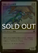 [FOIL] 縄張り持ちの槌頭/Territorial Hammerskull 【日本語版】 [XLN-白C]