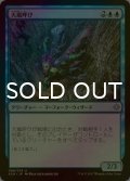 [FOIL] 大嵐呼び/Tempest Caller 【日本語版】 [XLN-青U]
