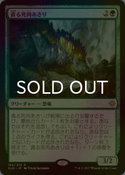 画像1: [FOIL] 貪る死肉あさり/Deathgorge Scavenger 【日本語版】 [XLN-緑R]