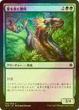 [FOIL] 葉を食む鞭尾/Grazing Whiptail 【日本語版】 [XLN-緑C]