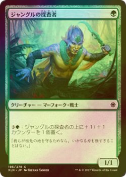 画像1: [FOIL] ジャングルの探査者/Jungle Delver 【日本語版】 [XLN-緑C]