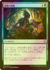 [FOIL] 新緑の再誕/Verdant Rebirth 【日本語版】 [XLN-緑U]