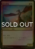 [FOIL] 空の恐怖/Sky Terror 【日本語版】 [XLN-金U]