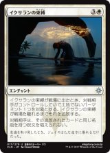 イクサランの束縛/Ixalan's Binding 【日本語版】 [XLN-白U]