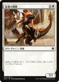 猛竜の相棒/Raptor Companion 【日本語版】 [XLN-白C]