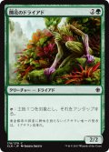 開花のドライアド/Blossom Dryad 【日本語版】 [XLN-緑C]