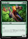 葉を食む鞭尾/Grazing Whiptail 【日本語版】 [XLN-緑C]