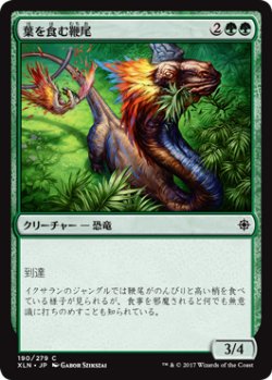 画像1: 葉を食む鞭尾/Grazing Whiptail 【日本語版】 [XLN-緑C]
