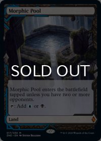 変遷の泉/Morphic Pool (Expeditions) 【英語版】 [ZNE-土地MR]
