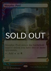 [FOIL] 変遷の泉/Morphic Pool (Expeditions) 【英語版】 [ZNE-土地MR]
