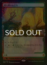 [FOIL] 燃え柳の木立ち/Grove of the Burnwillows (Expeditions) 【日本語版】 [ZNE-土地MR]