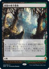 新緑の地下墓地/Verdant Catacombs (ZNE/土地MR/日/通常/NM) ※詳細要確認