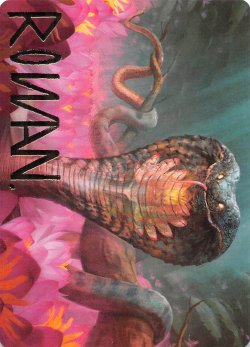 画像1: 水蓮のコブラ/Lotus Cobra No.071 (箔押し版) 【日本語版】 [ZNR-アート]