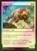 [FOIL] 台地のオオヤマネコ/Mesa Lynx 【英語版】 [ZNR-白C]